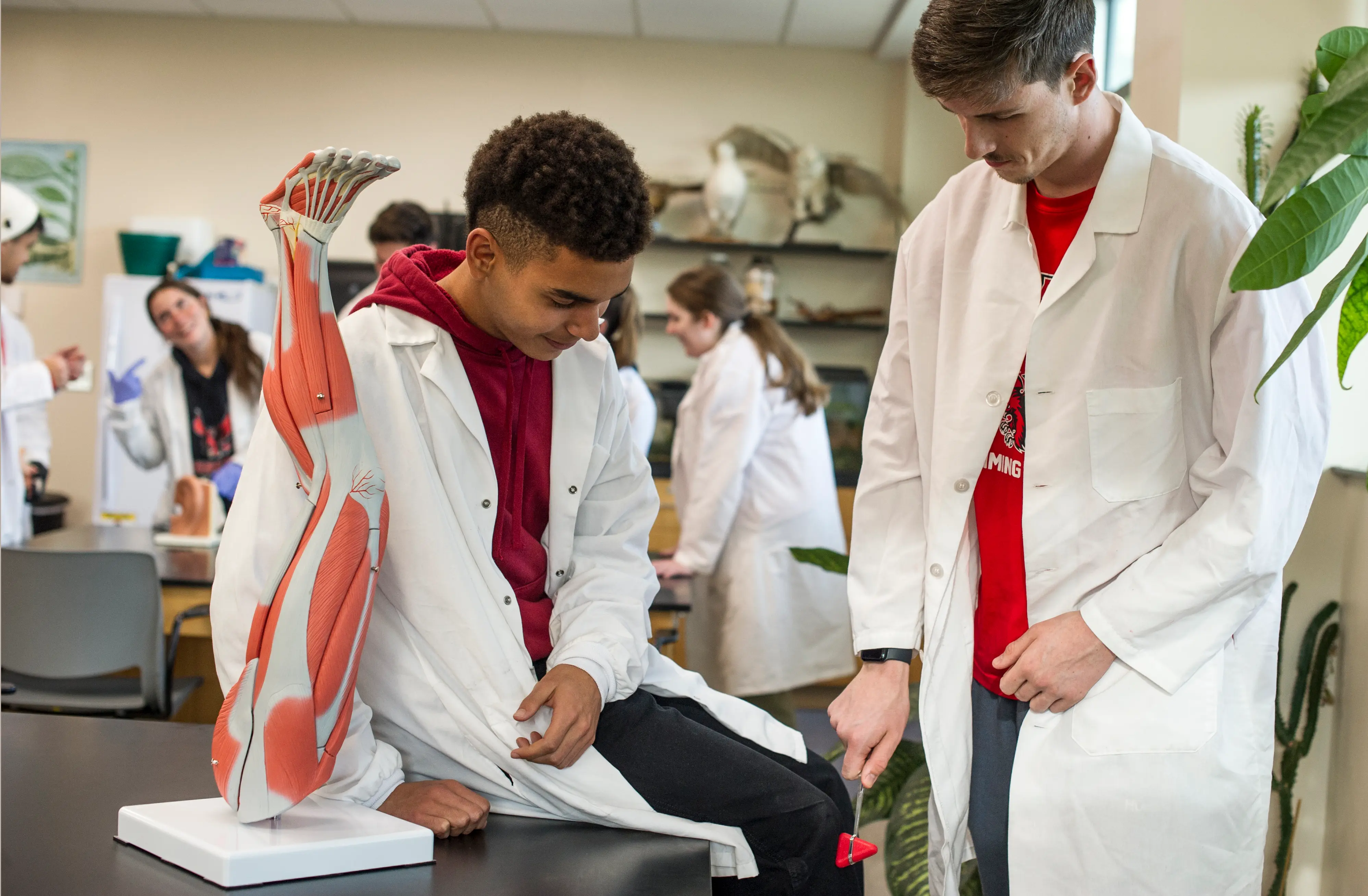 Roman and Derik testing relexes