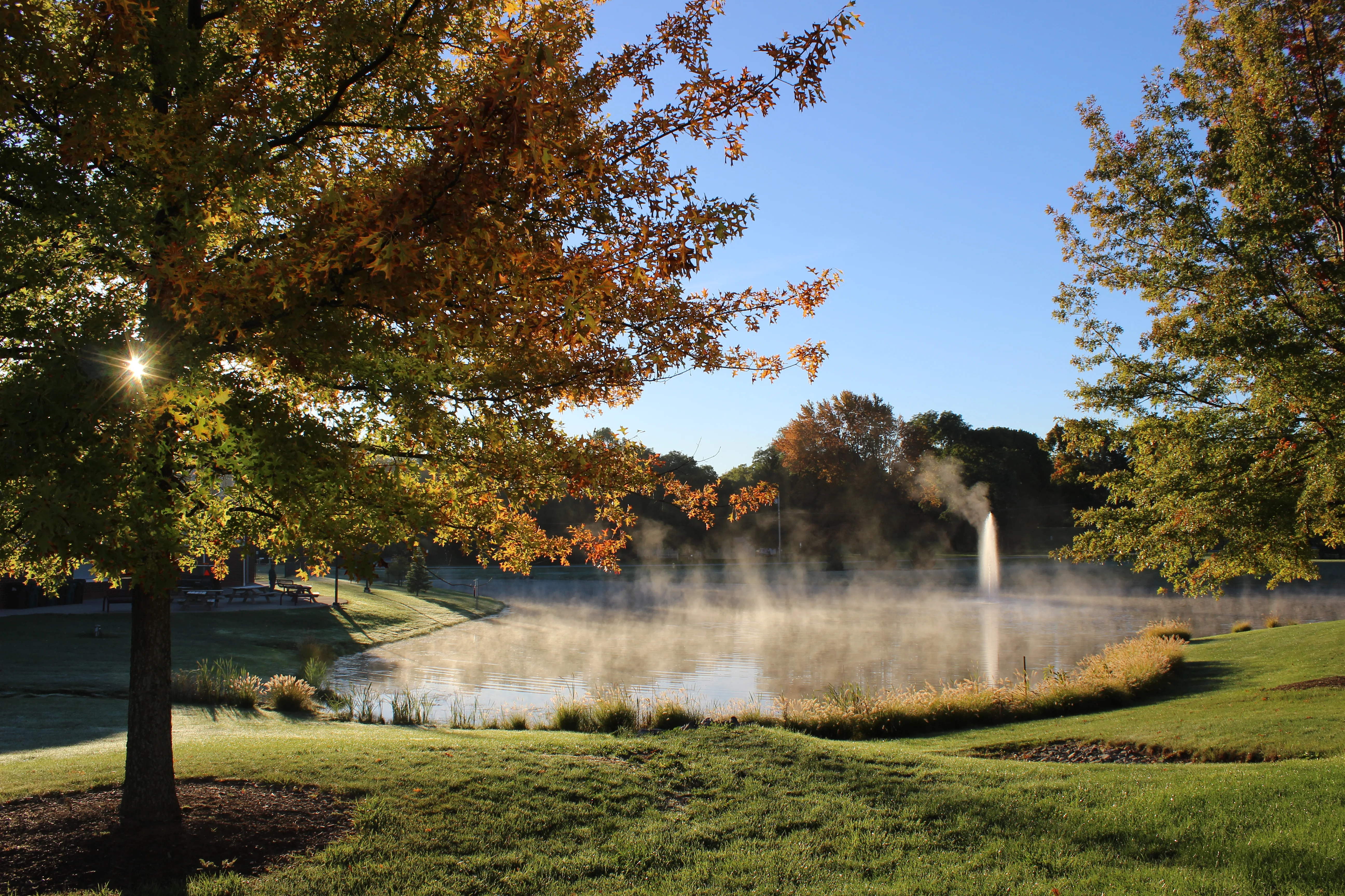 Pond with fog